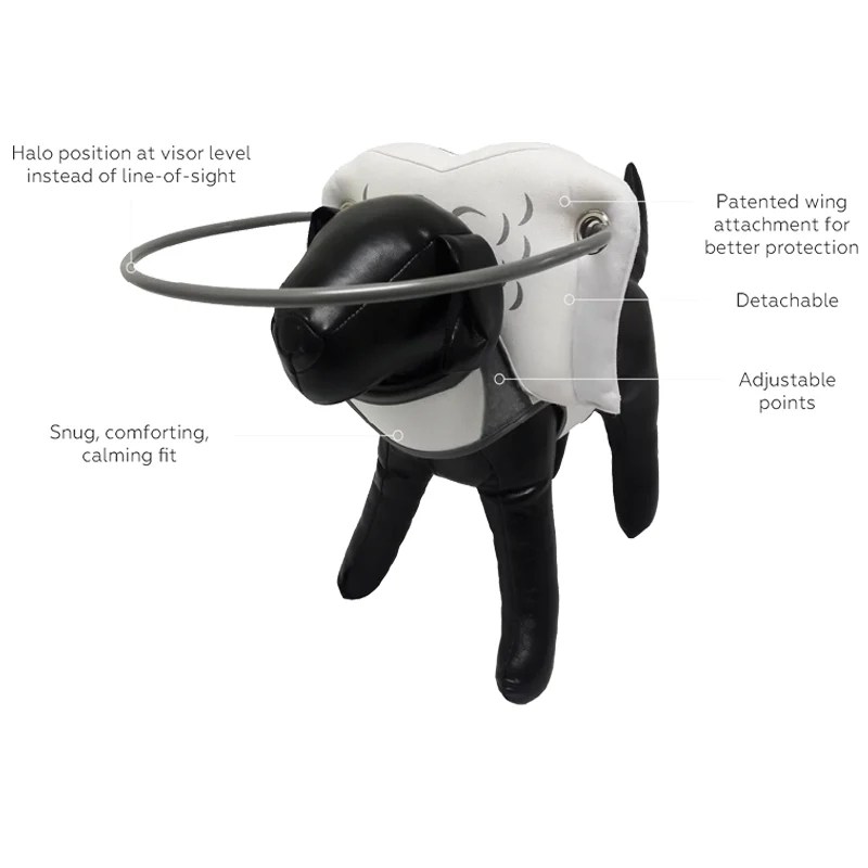 Muffin's Halo for Blind Dogs