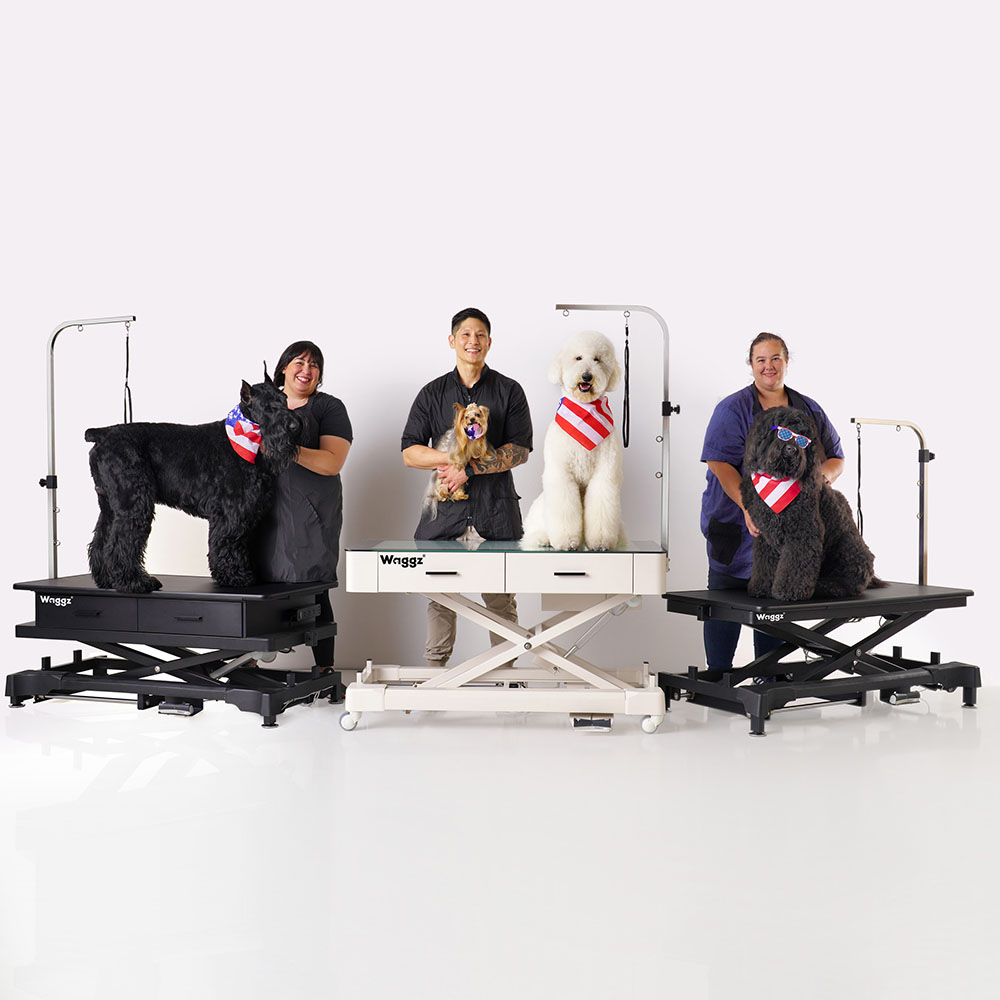 Does Pet Insurance Cover Grooming? Waggz