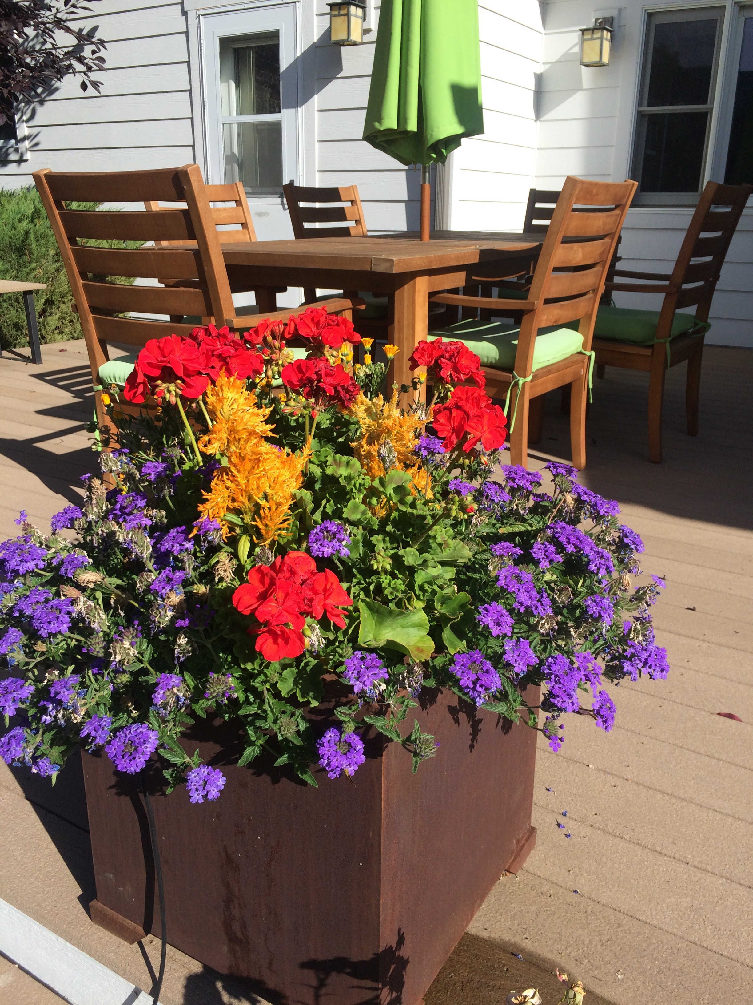 Garden Center & Nursery Serving Bozeman, Belgrade & Butte Montana