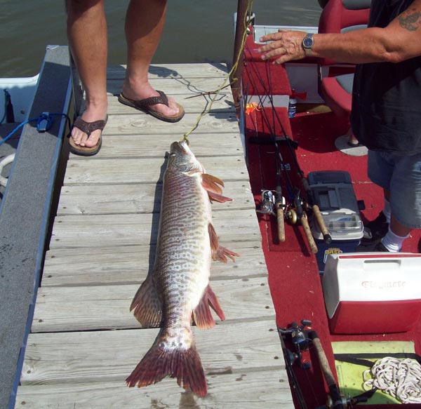 Wisconsin Fishing Campground