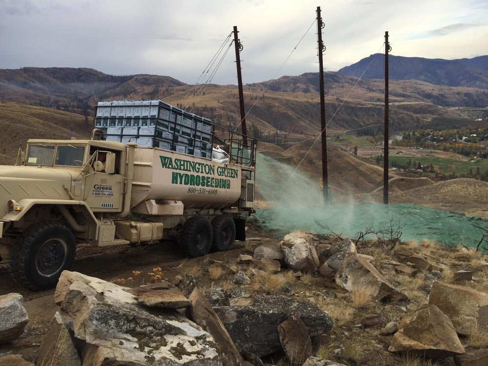Gallery Washington Green Hydroseeding
