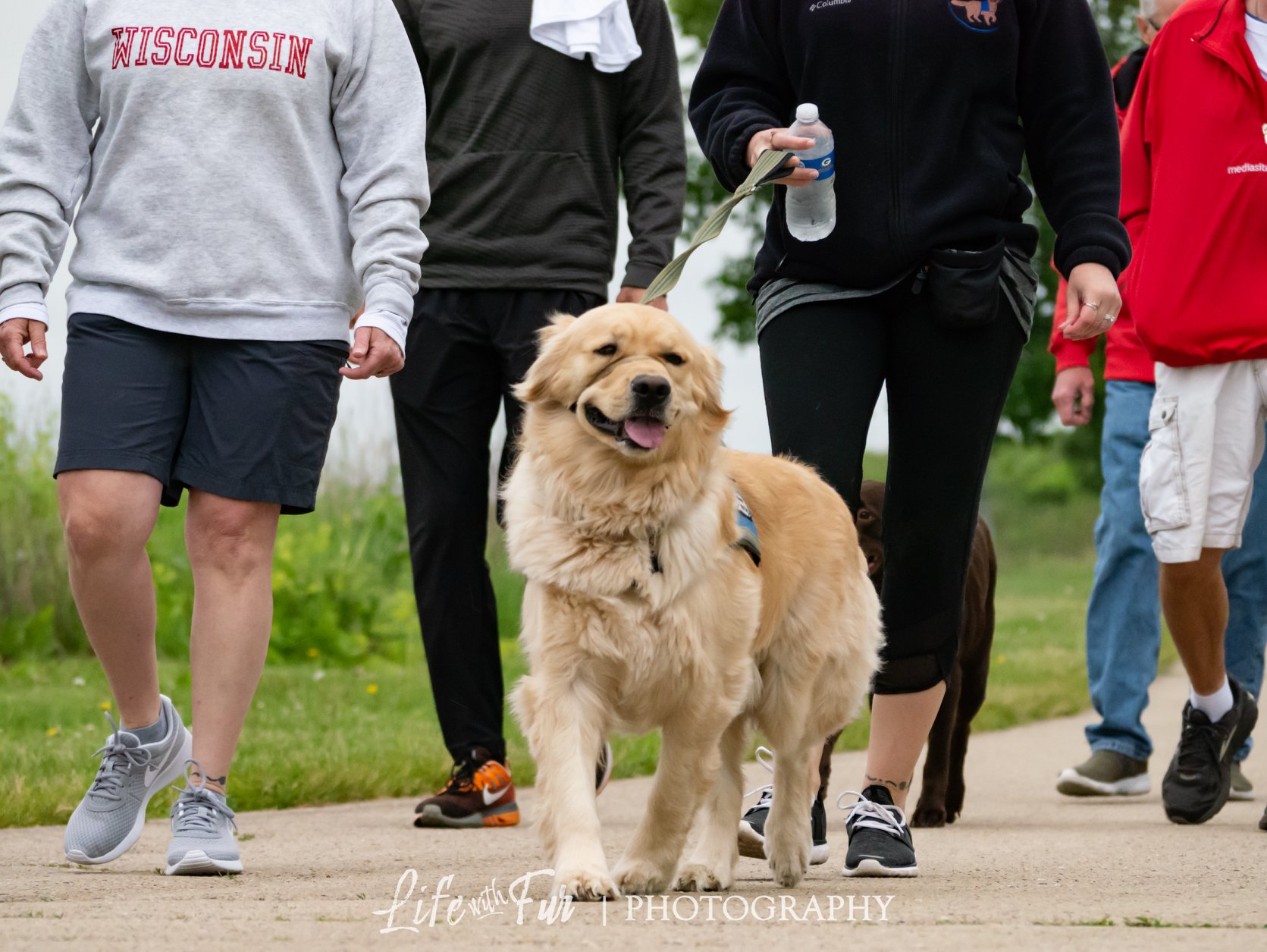 WAGS Annual Dog Walk WAGS, Inc.