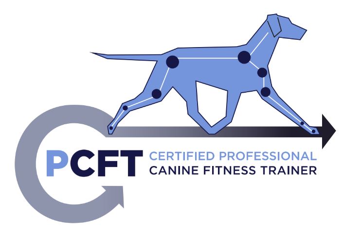 Certified Behaviour Consultant WagTails Dog Training Disc, RallyO