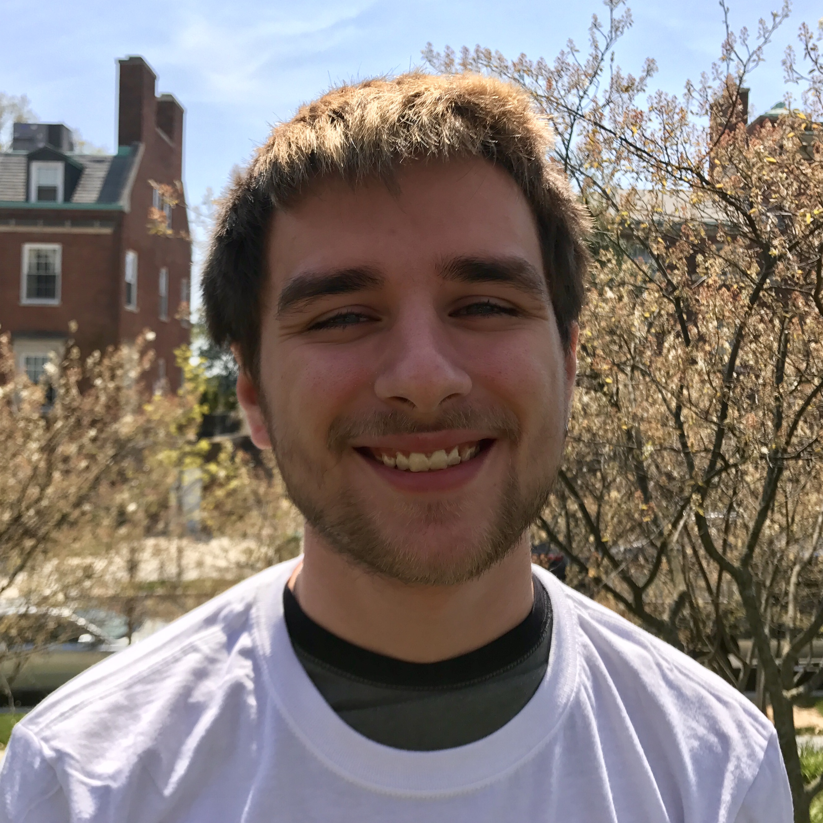 Top Dog Walkers in Mt Airy, MD 21771 Wag!