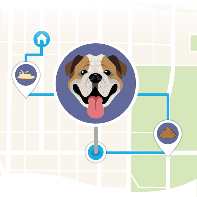 Wag! Instant Dog Walkers