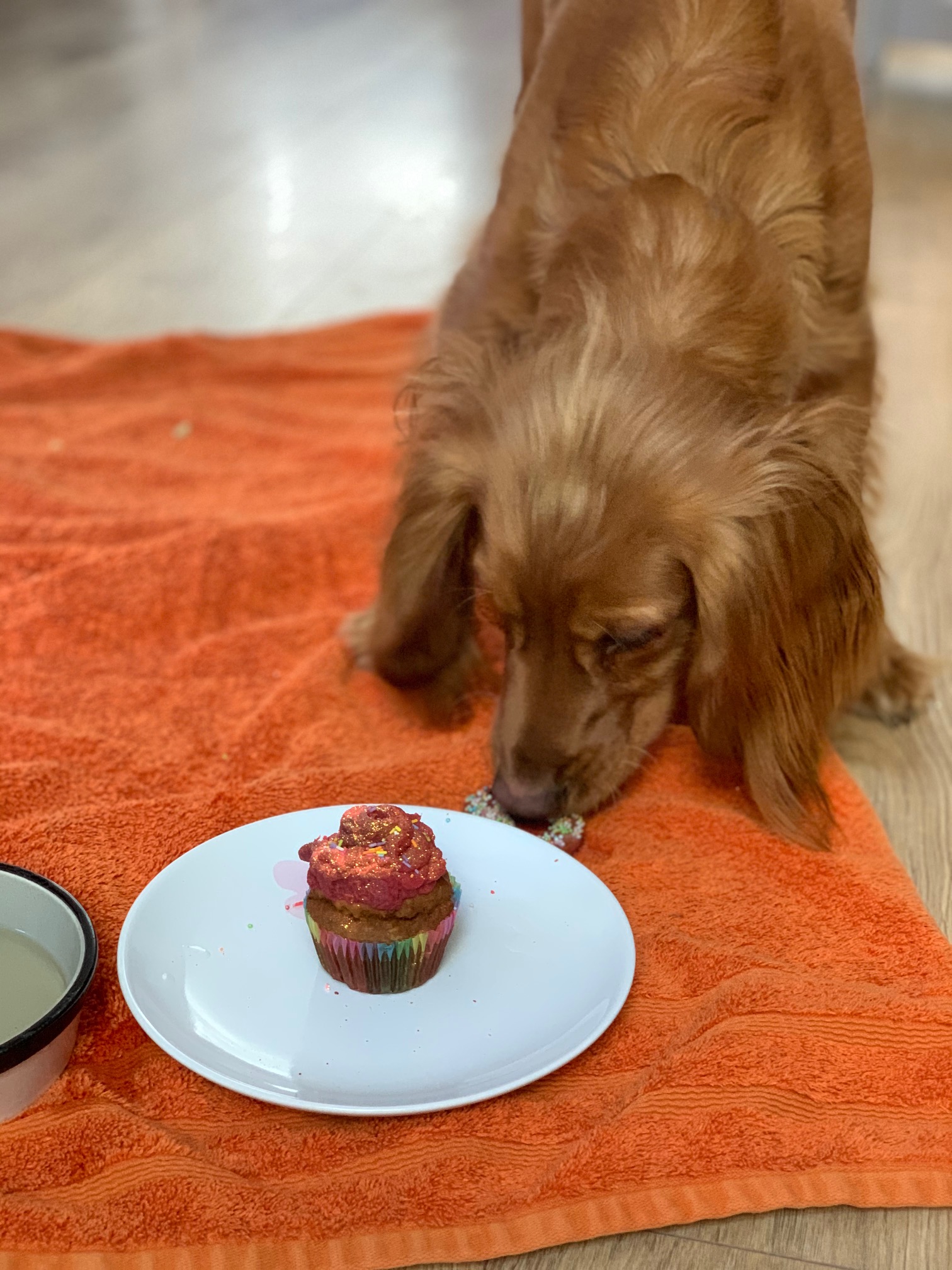 Peanut Butter & Banana Pupcakes Wag Wins