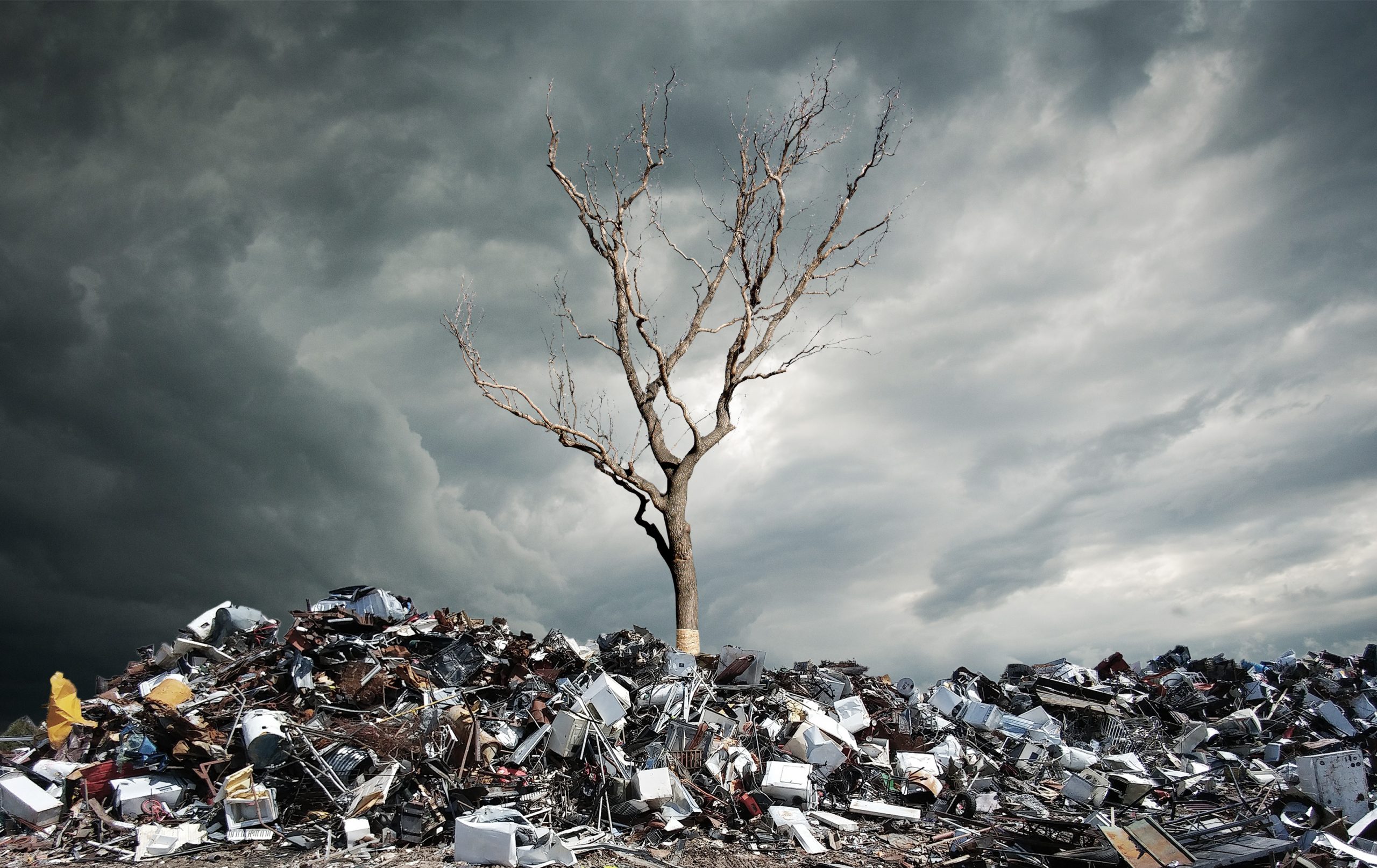 Is rubber degradable Waibo Group Limited