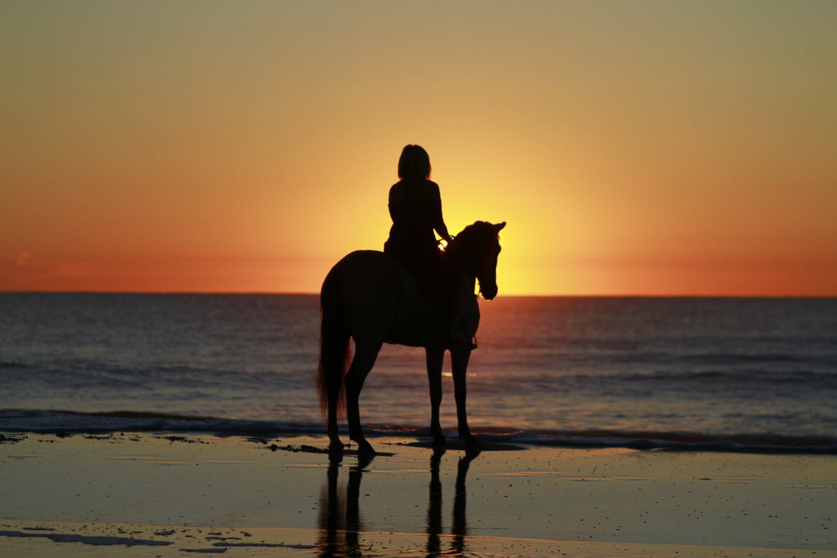 Sunset Horseback Ride on the Beach 138 Waikiki Adventures