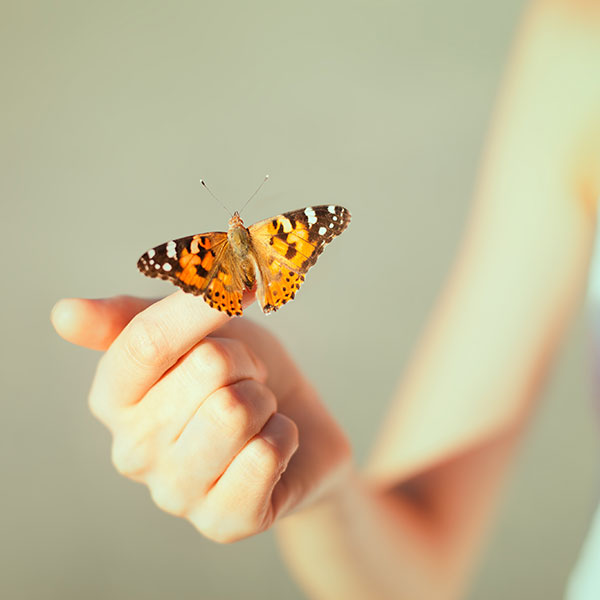 Waimea Yoga — Yoga for Every Body