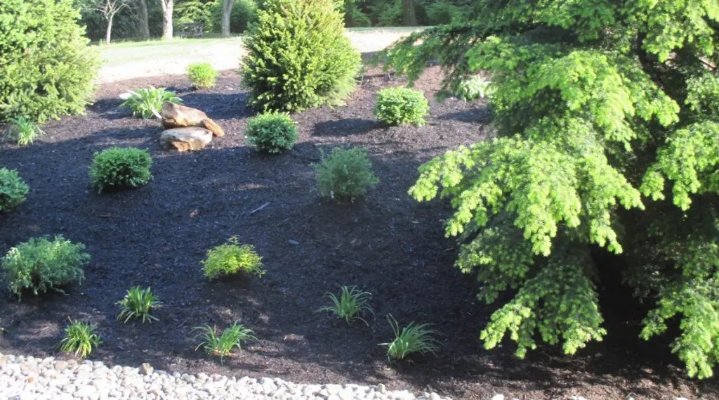 Wain Landscaping Projects