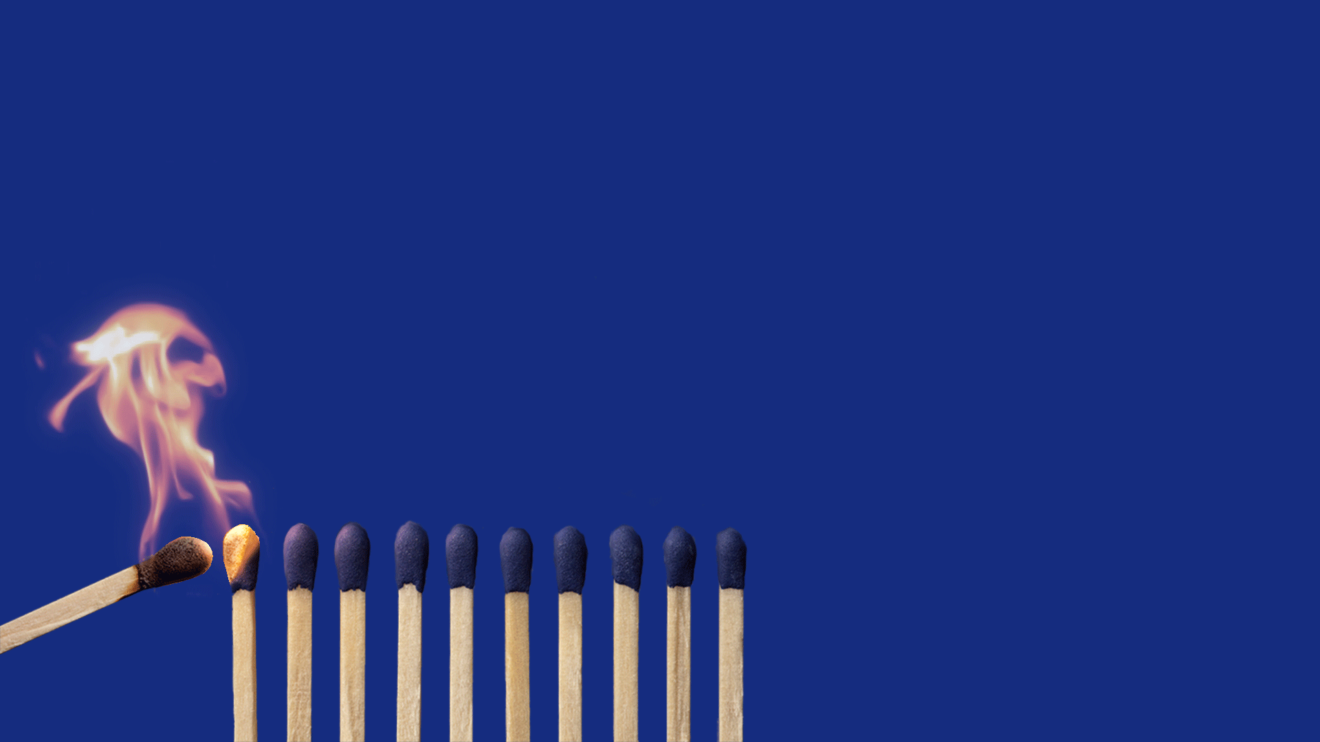 home Wainwright Scott Ltd