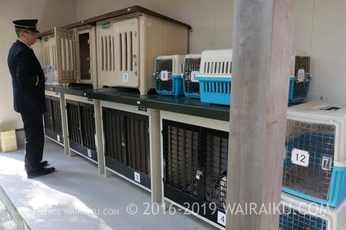衛士見張所に愛犬を預けて伊勢神宮を参拝してみたよ！