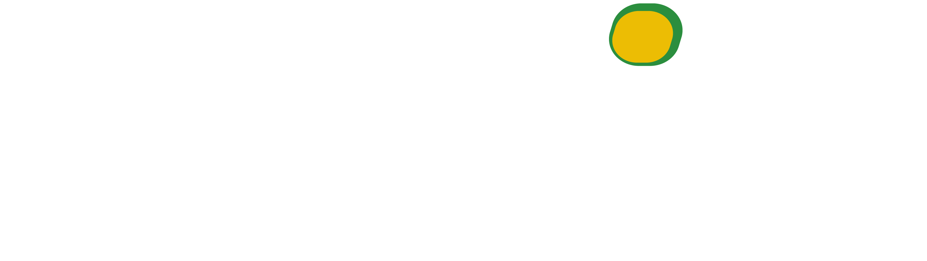 WAIS Nutrition Eating to Boost Your Immunity WAIS