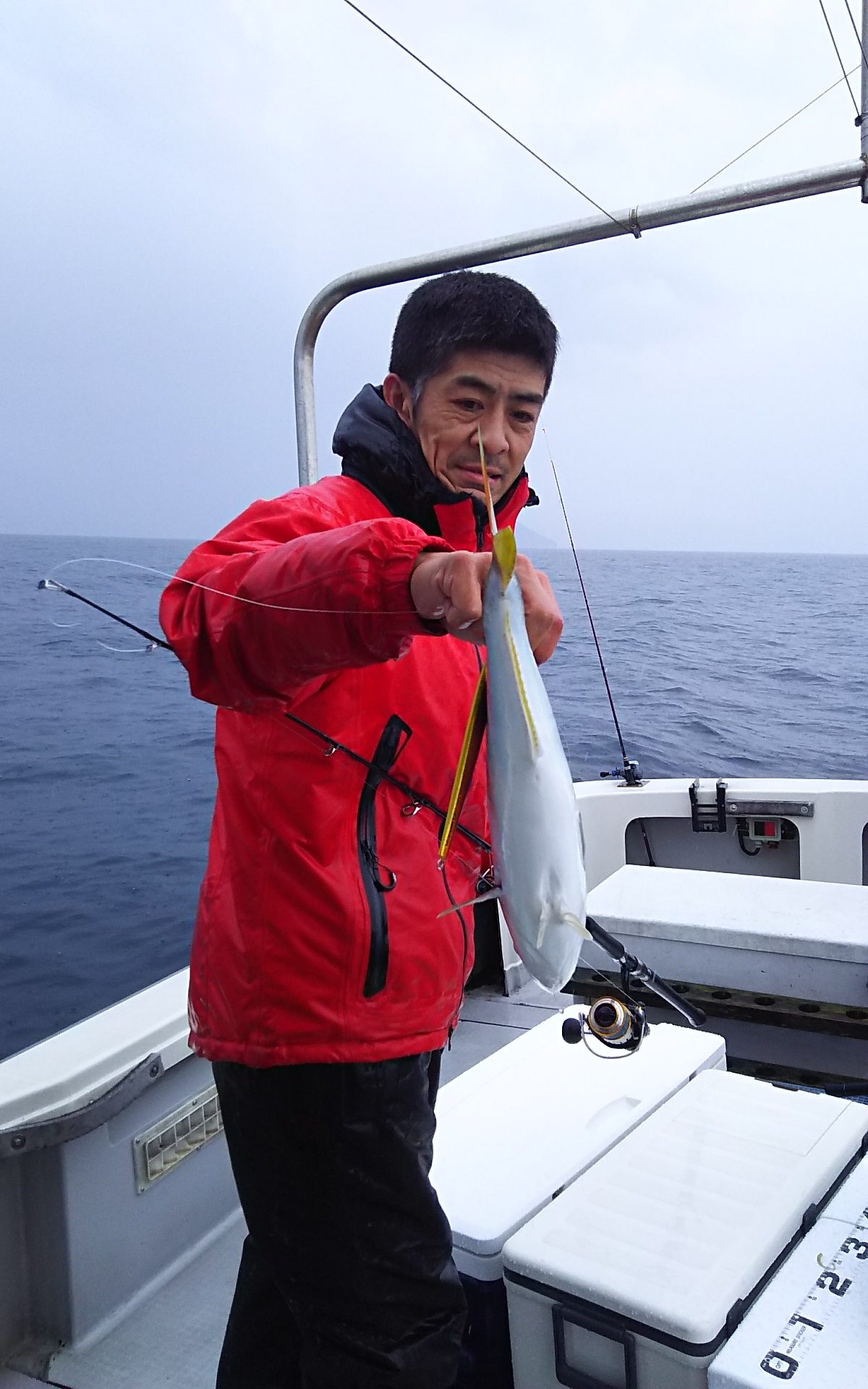 4月26日小浜沖へジギングでブリ、ハマチ、ヒラマサ釣りに 出港、ブリ88～95cm3匹、ハマチ52匹でした。 日本海小浜の釣り船わかさⅡ
