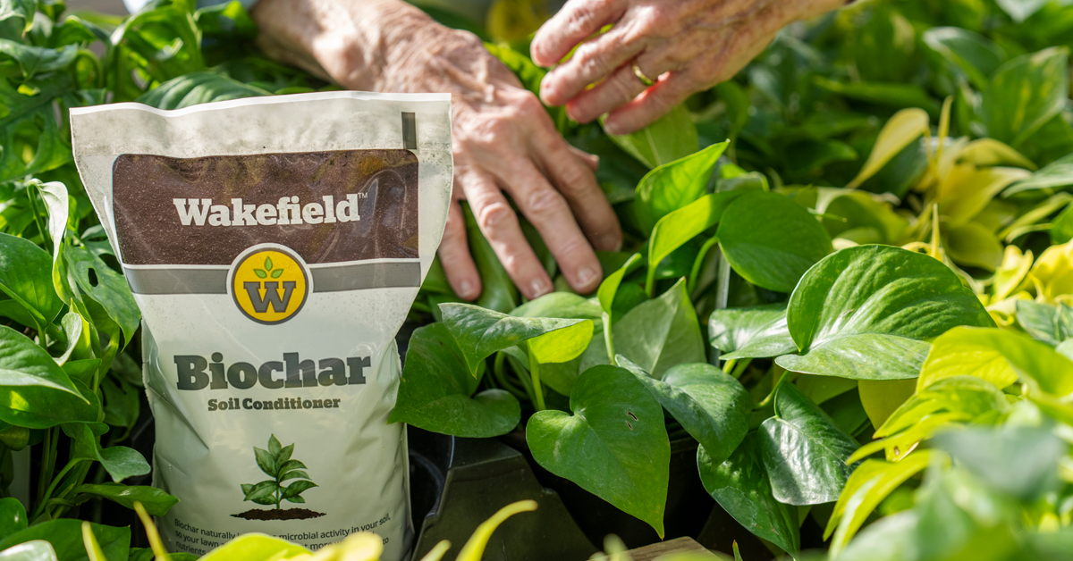 Can Biochar Burn Plants? Wakefield BioChar