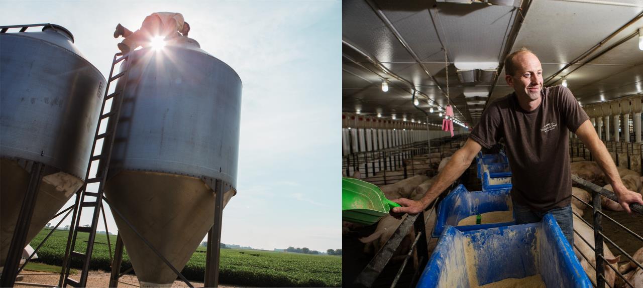 About Wakefield Pork Wakefield Pork