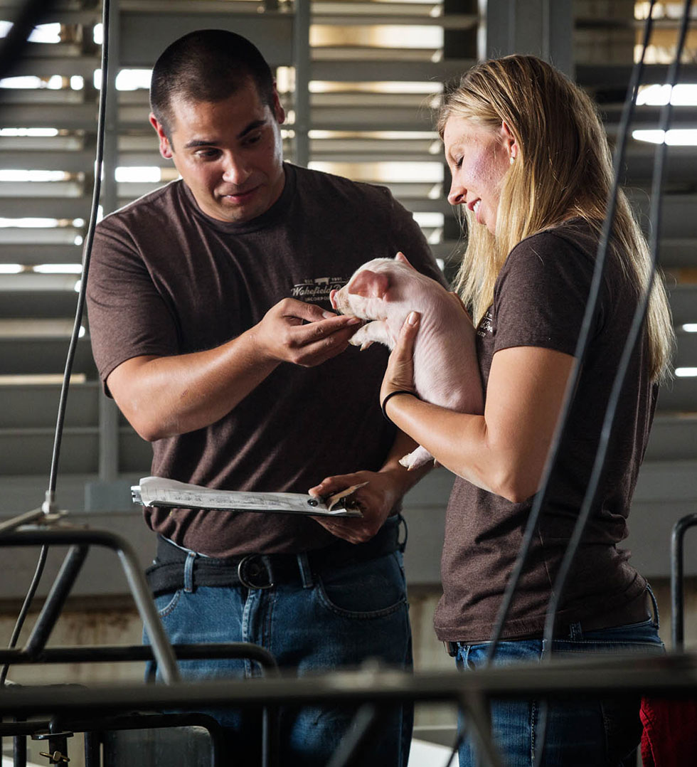 Wakefield Pork Cares Wakefield Pork