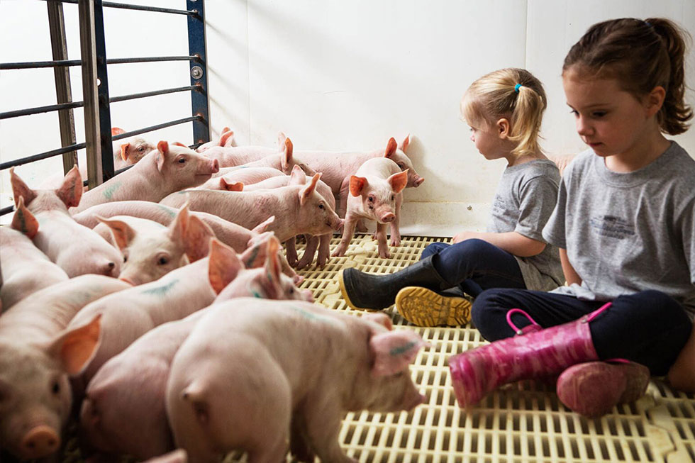 Wakefield Pork Cares Wakefield Pork