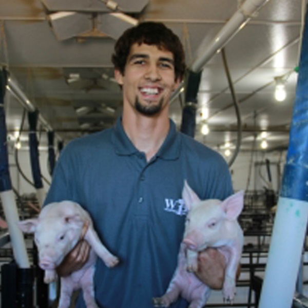 Internships Wakefield Pork