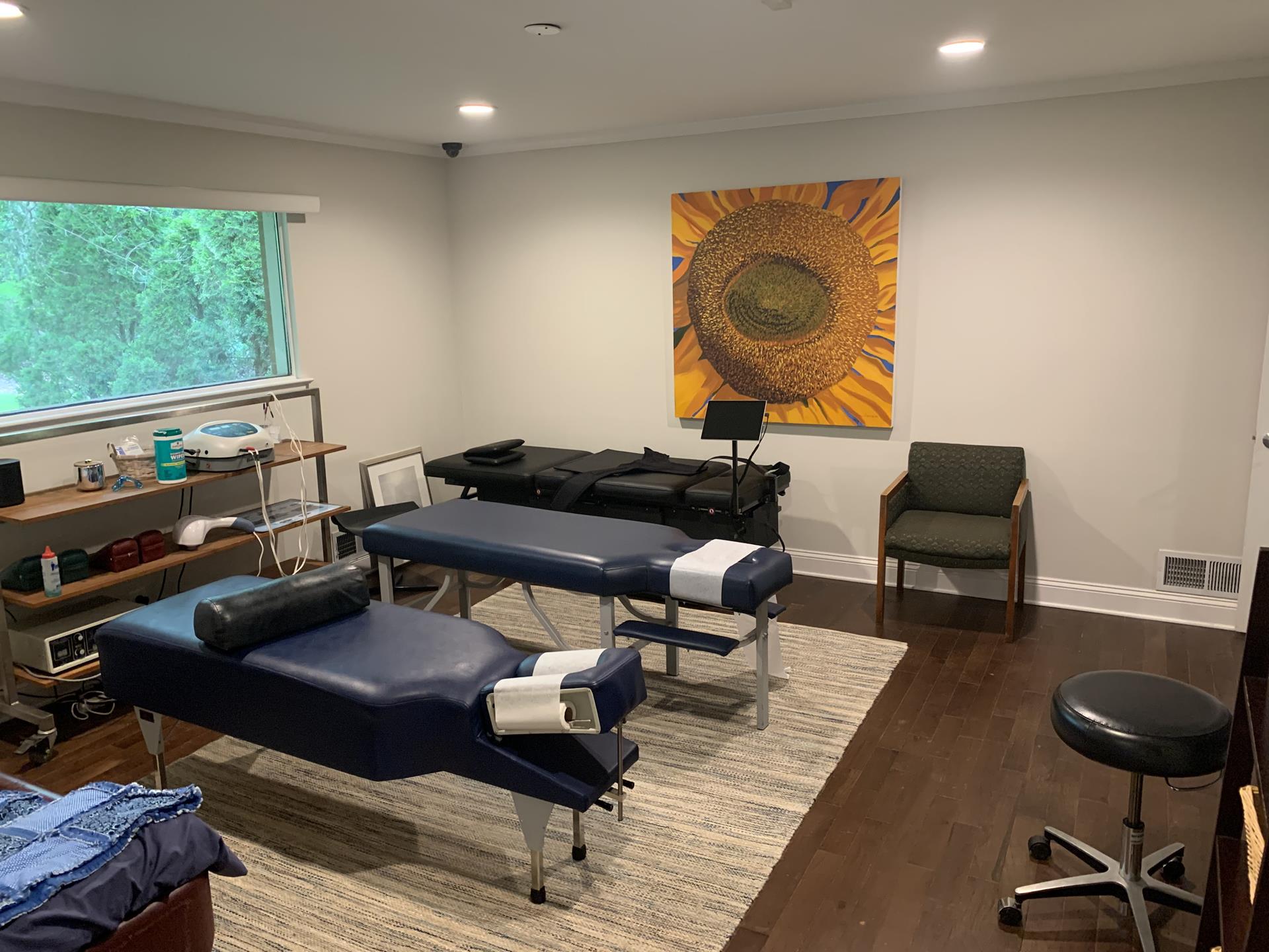Chiropractic Services in Atlanta, GA Wakeman Chiropractic & Healing
