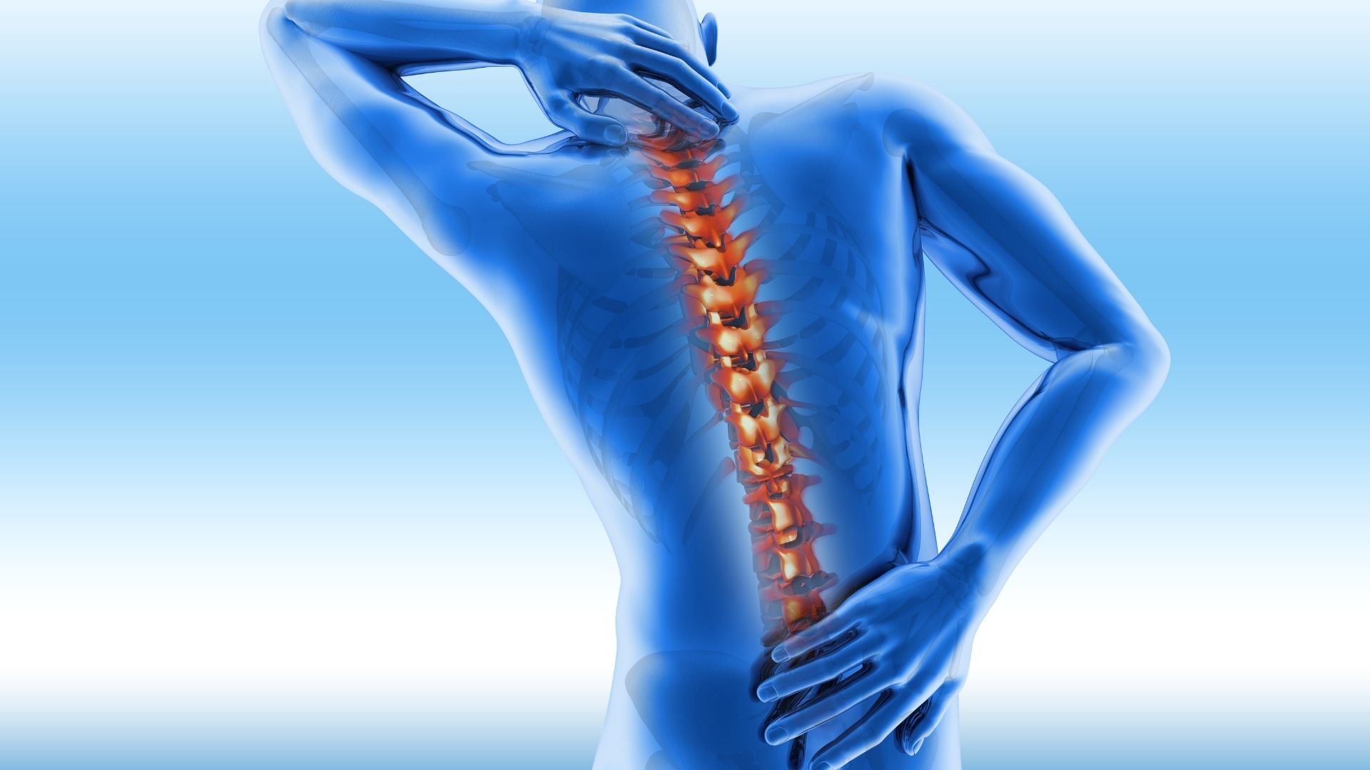 What Are the Best Exercises for Spine Health? Top Examples Wake Spine