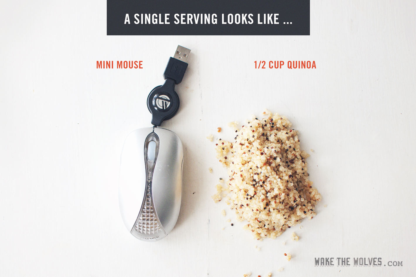What are Healthy Portion Sizes? Wake the Wolves