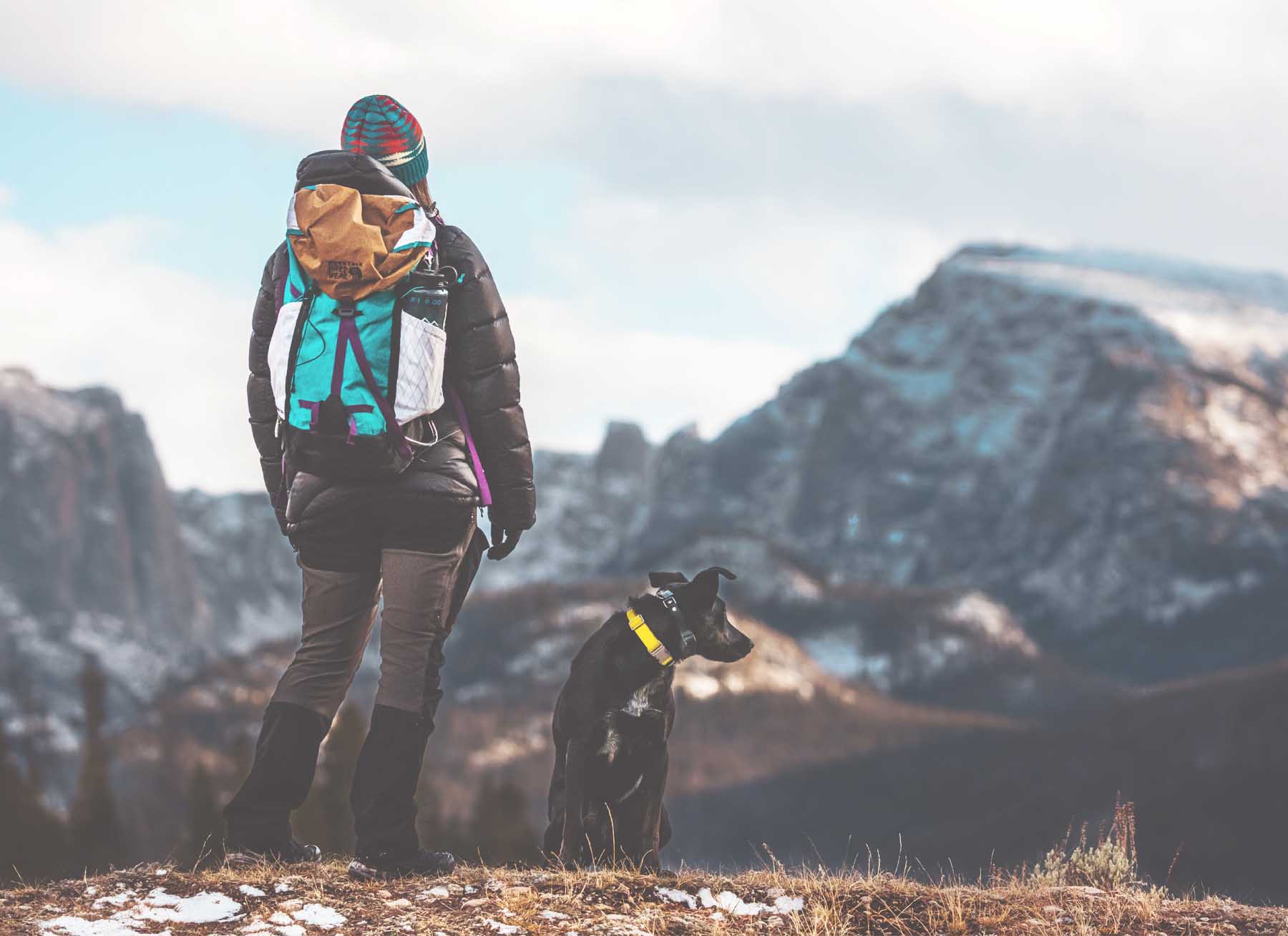 Safety Tips for Hiking with Your Dog Waking Up Wild Waking Up Wild