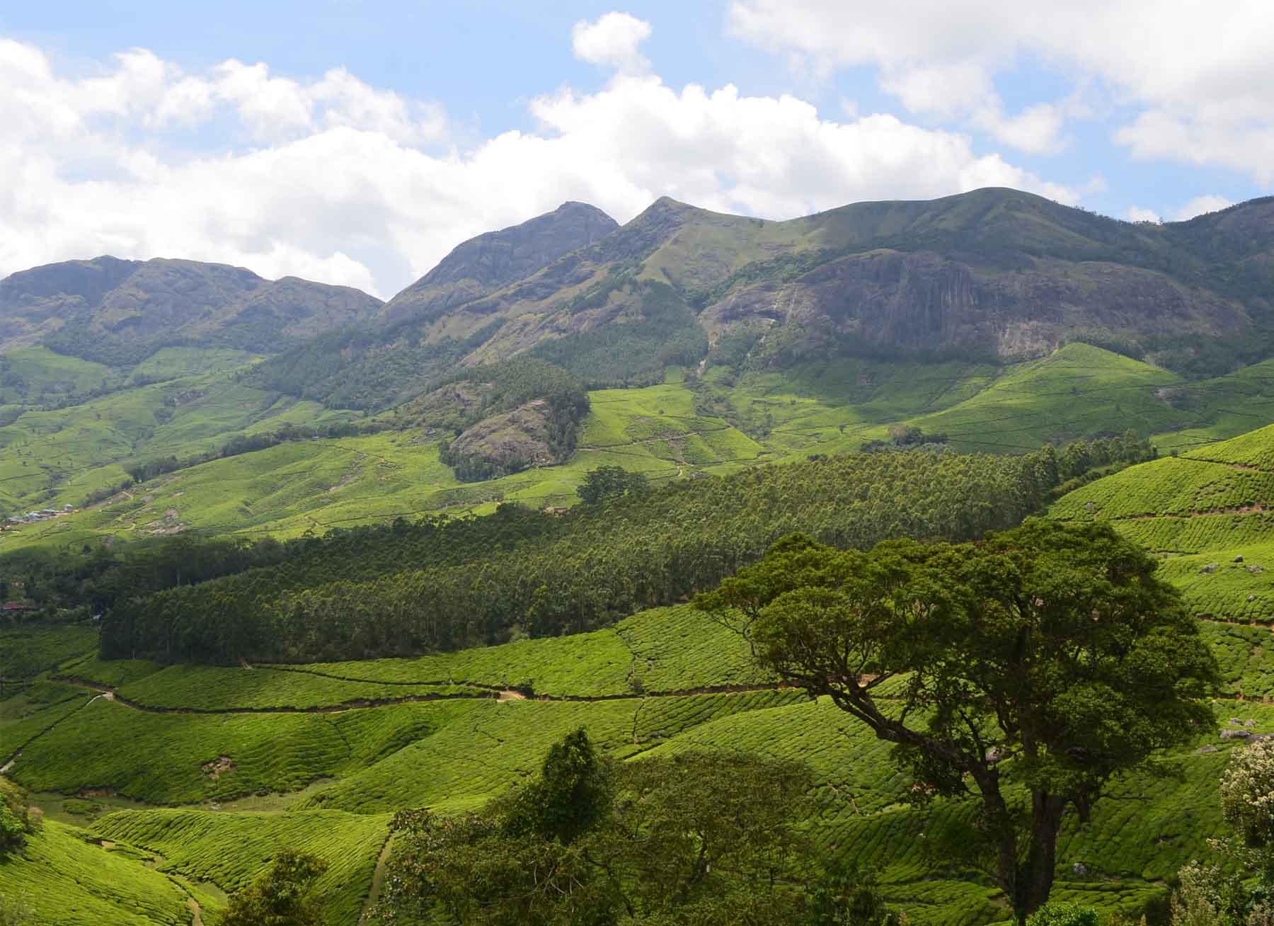 Kerala's most unique and scenic Hill Stations Waking Up Wild Waking