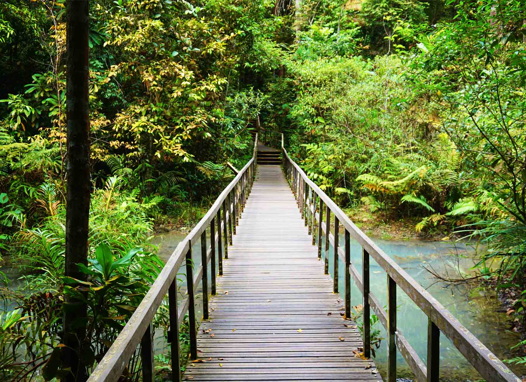 The Best Hikes in Singapore Waking Up Wild Waking Up Wild