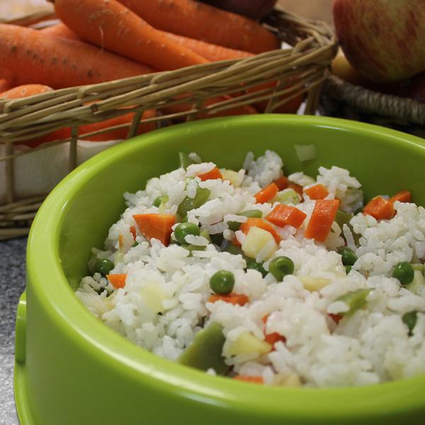 Alimentos caseros para perros, ¡prepara comida natural a