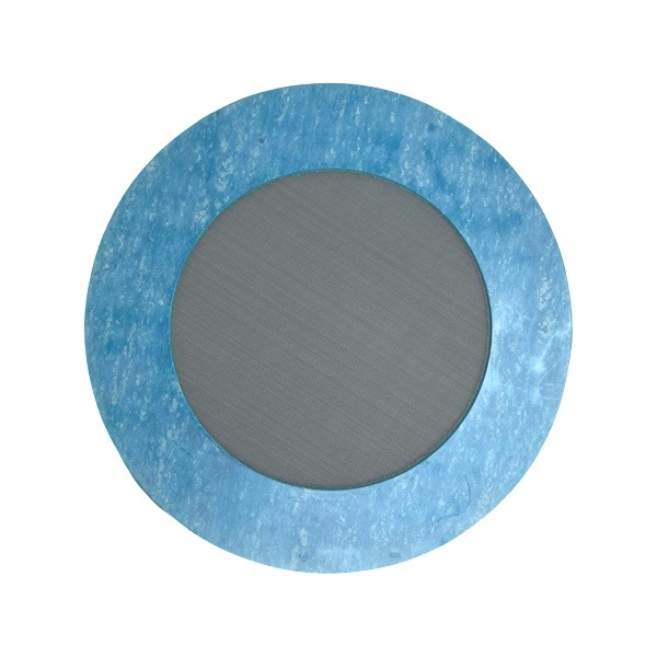 4" Garlock 3000 Ring Gasket Strainer WalRich Corporation