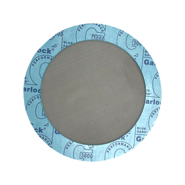6" Garlock 3000 Ring Gasket Strainer WalRich Corporation