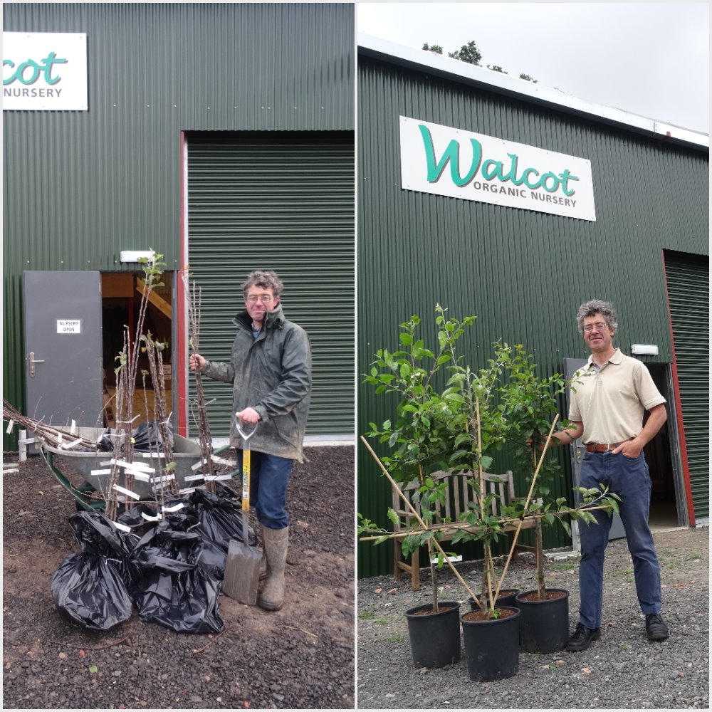 About Walcot Organic Nursery