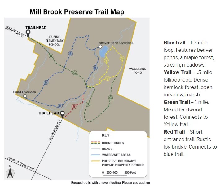 Mill Brook Preserve Receives NotforProfit Status Walden