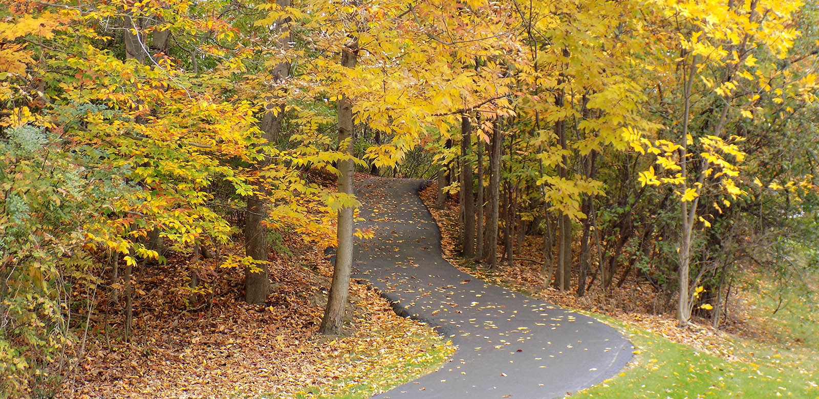 Walden of Aurora Walden Association, Aurora OH