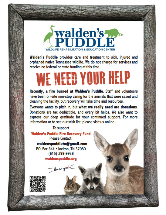 Fire Recovery Posters Walden's Puddle