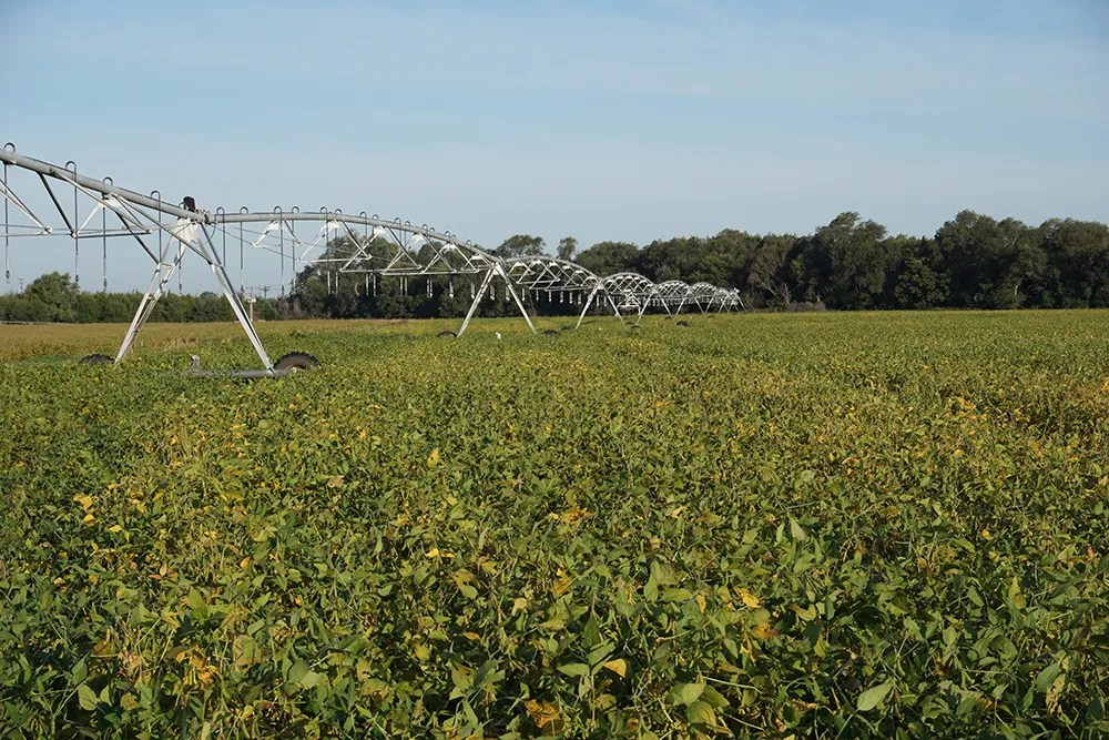 Holt County, Nebraska Pasture For Sale (P2311) Waldo Realty