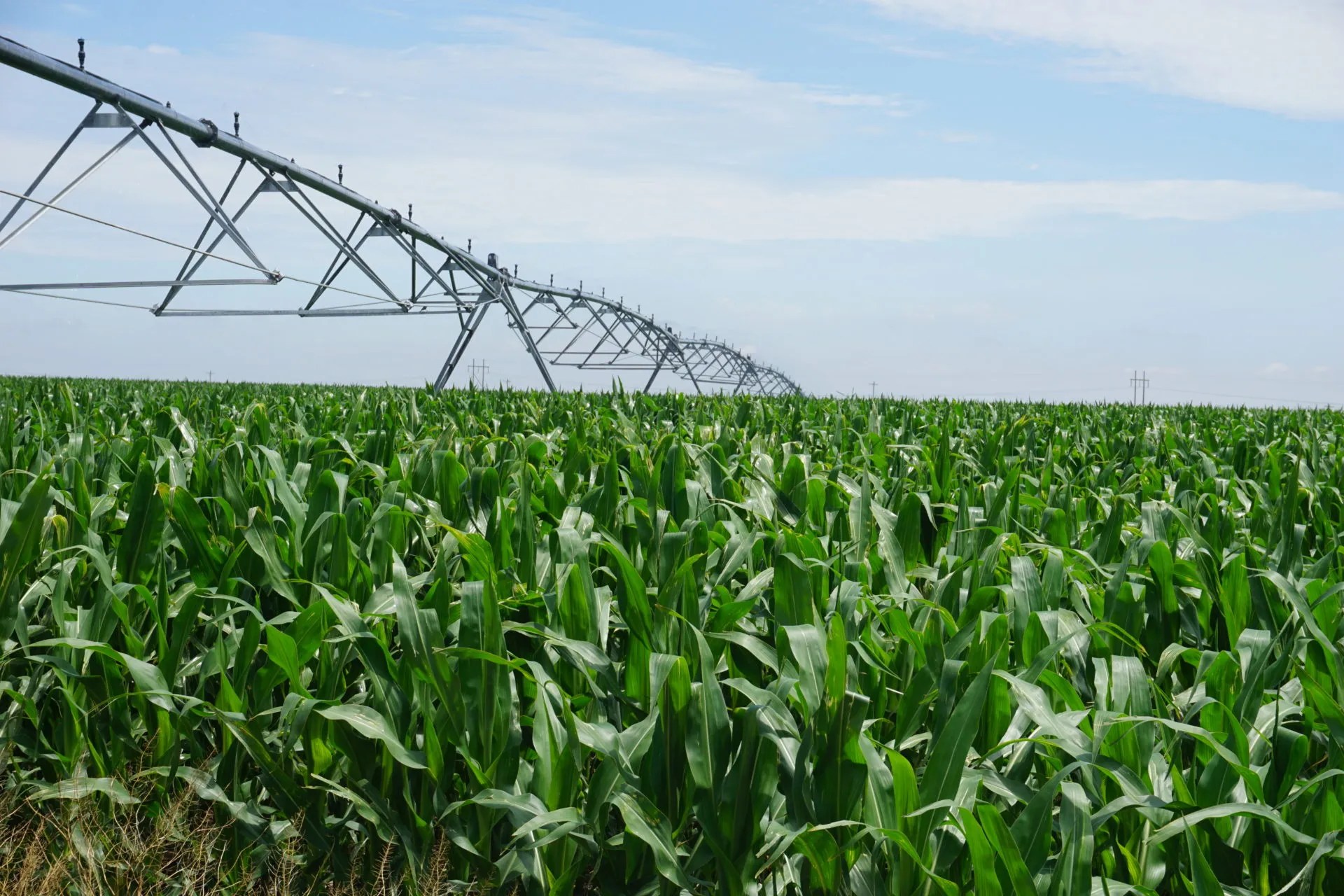 Holt County, Nebraska Irrigated Farm For Sale (P2309) Waldo Realty