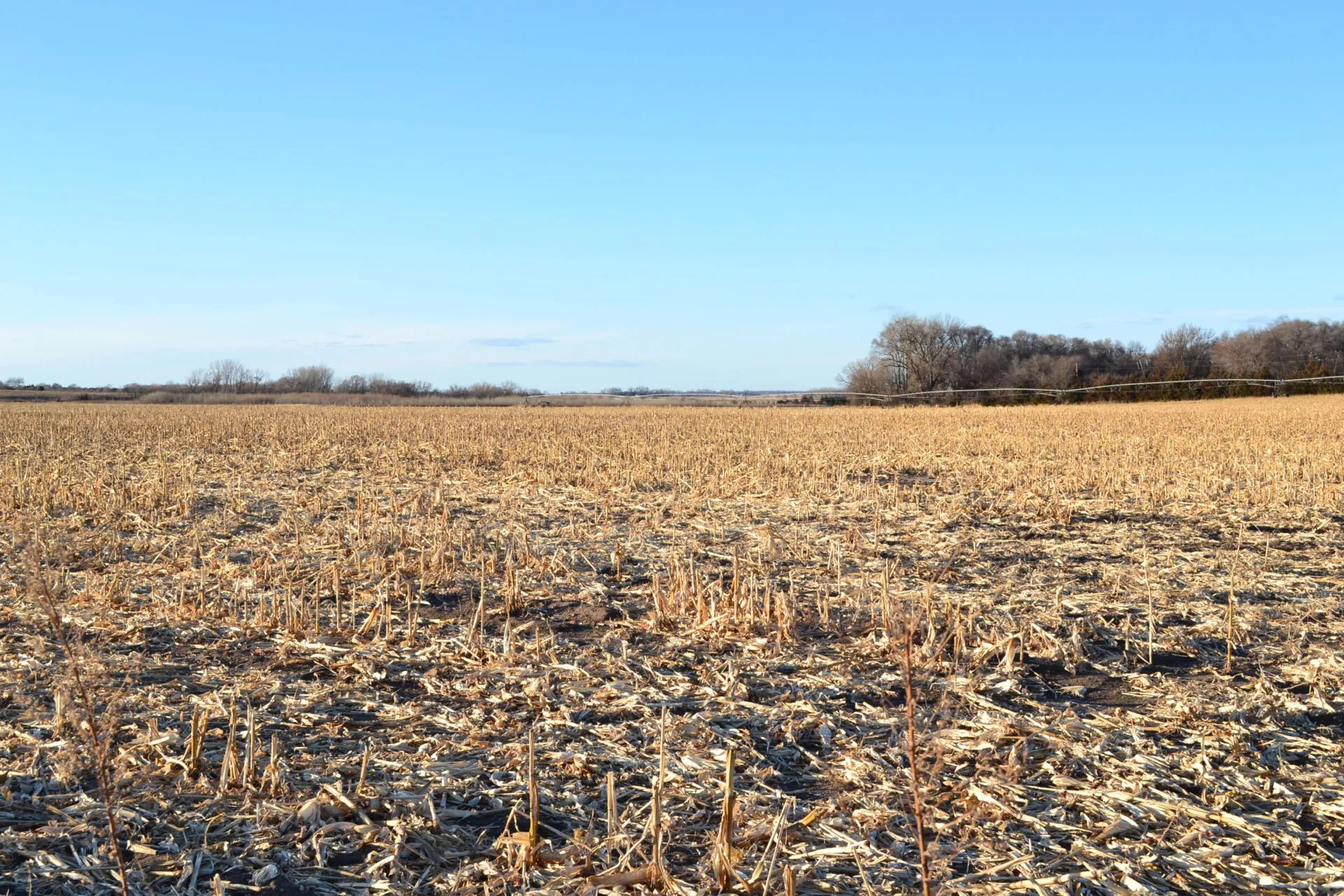 Waldo Realty Past Auctions Waldo Realty