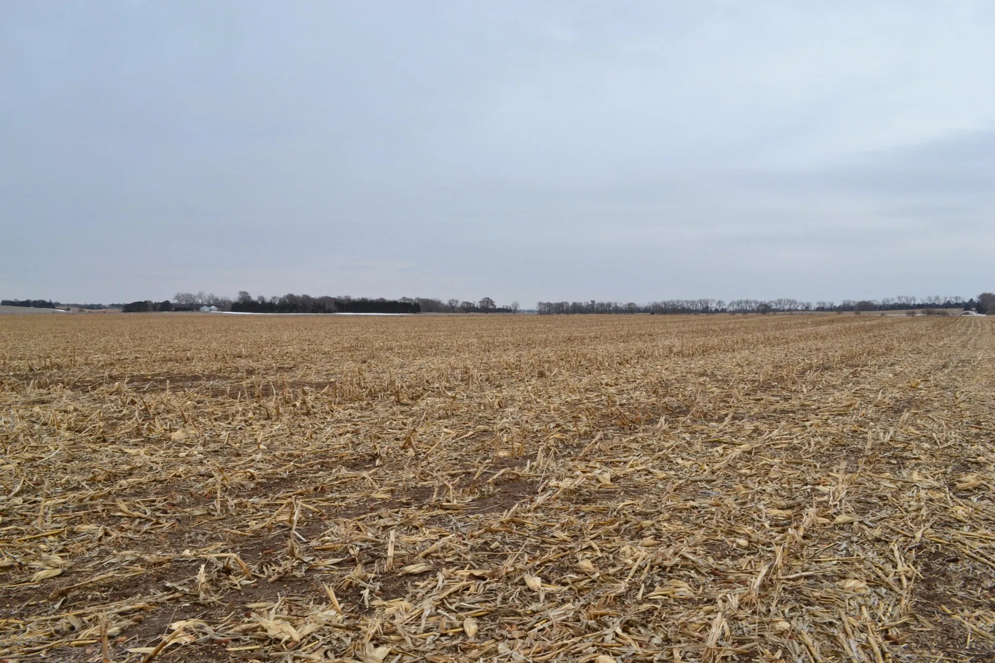 Waldo Realty Auctions Waldo Realty