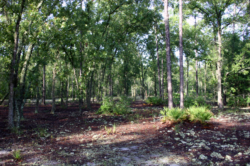 Waldo Road Property For Sale at Joseph Gamboa blog