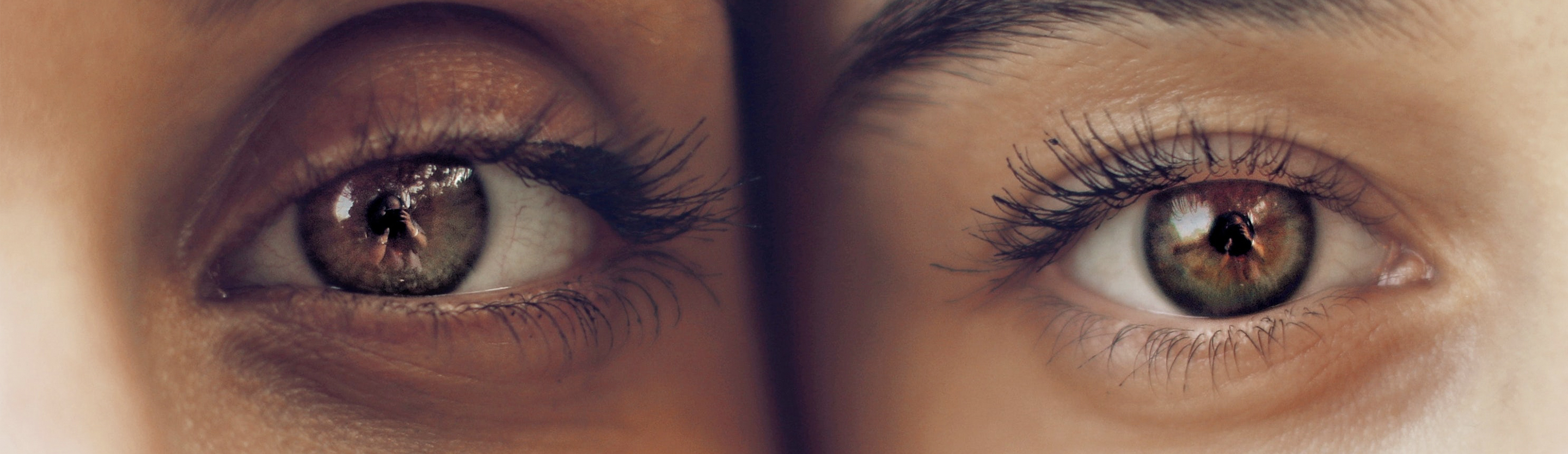 Disposable Contacts Wales Optical