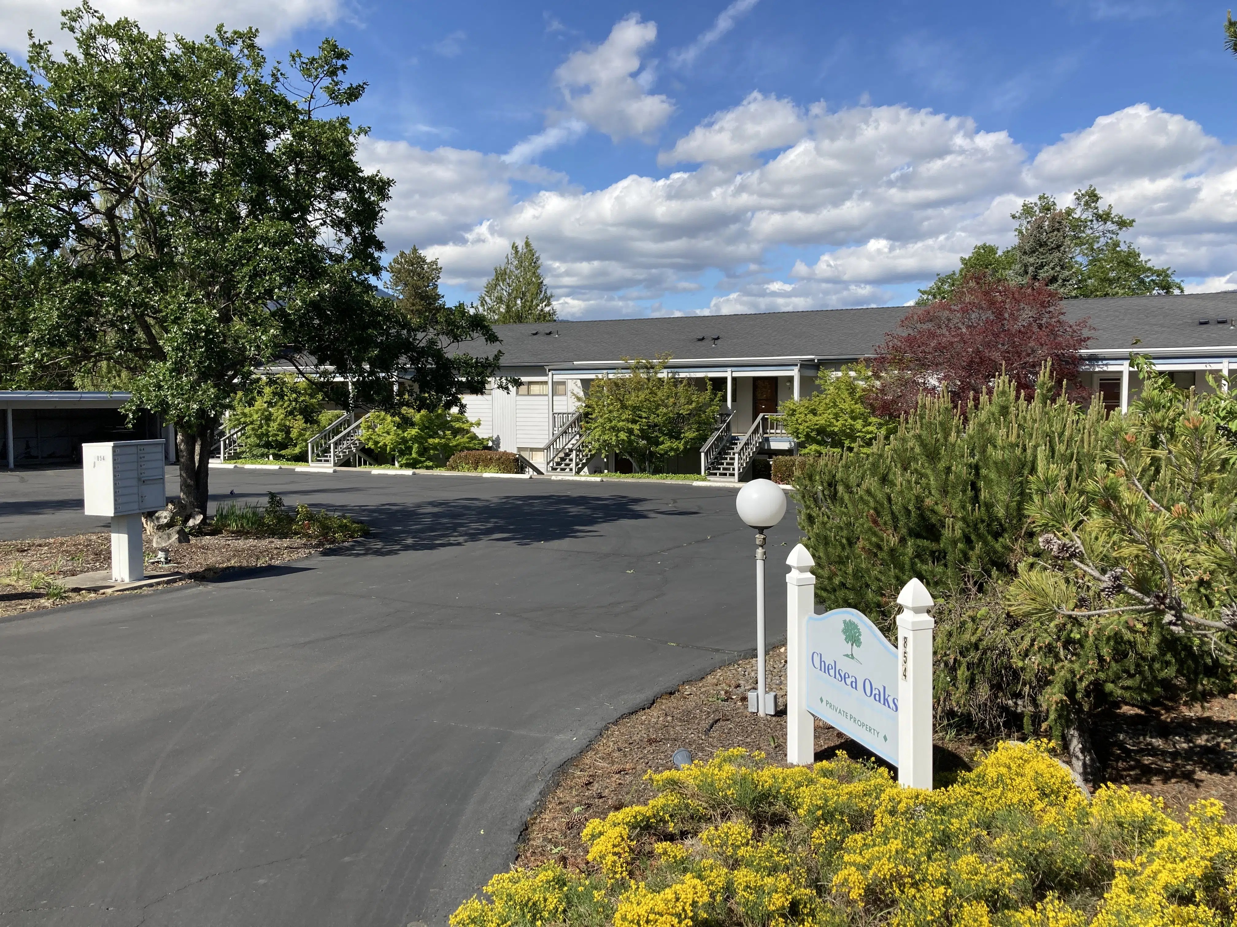 Twin Pines Circle, Acorn Circle, Fairway Court Oak Knoll neighborhood