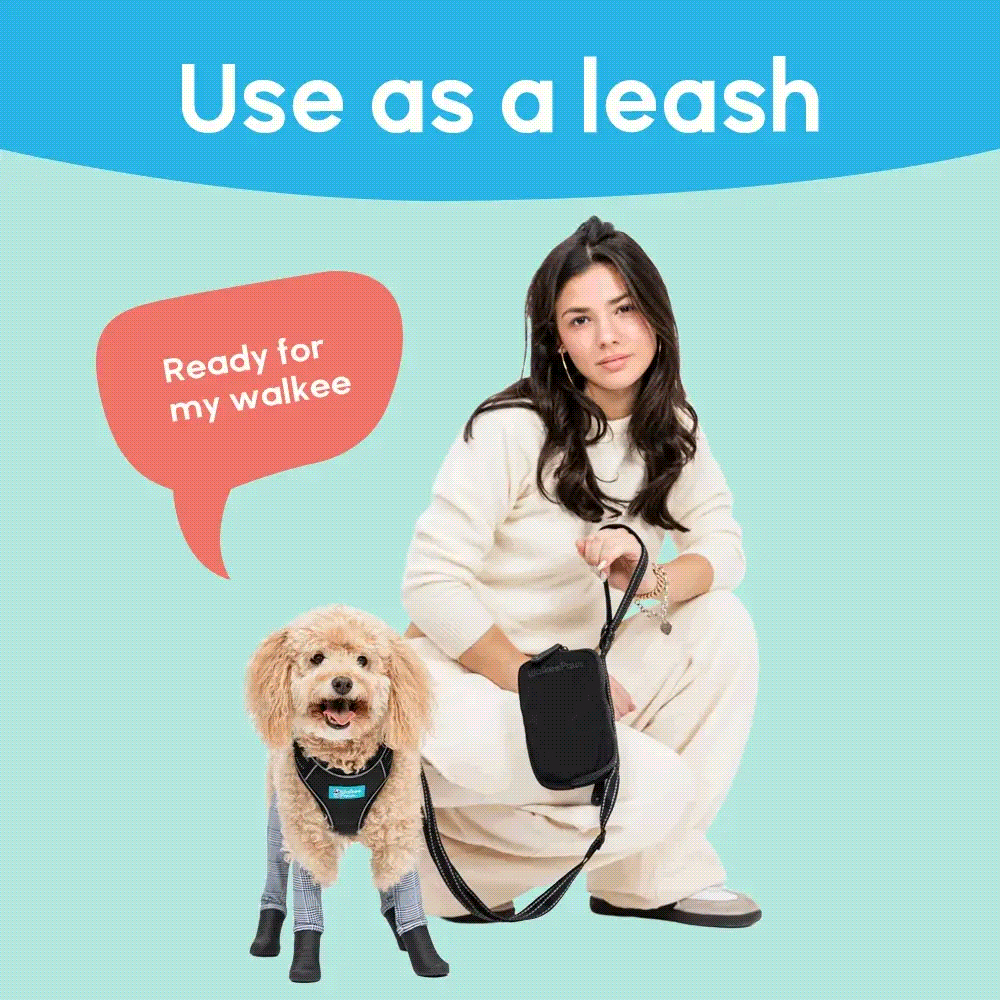 Track Your Order Walkee Paws