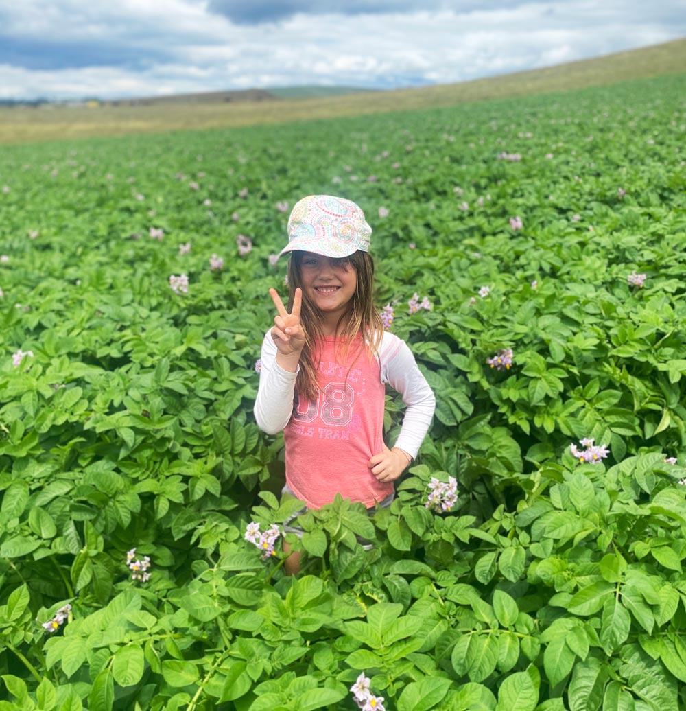 Walker Ag Consultancy Servicing the North West Coast of Tasmania