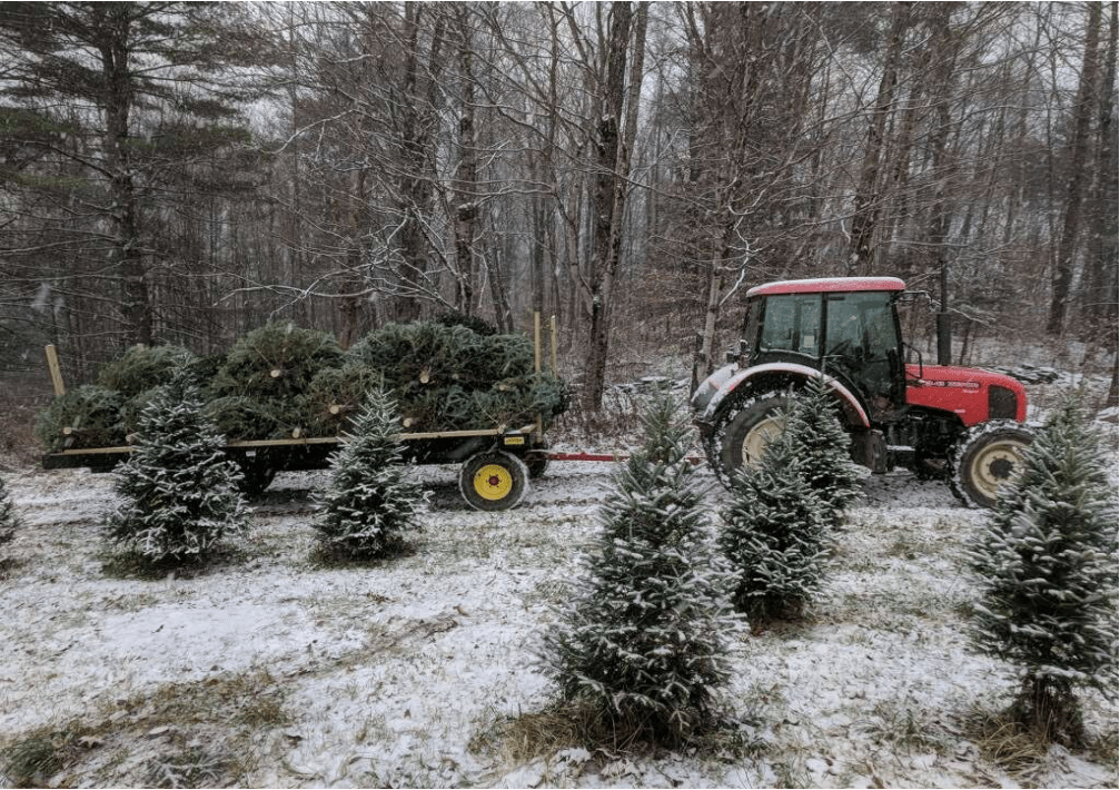State of the Farm 2018 Walker Farm