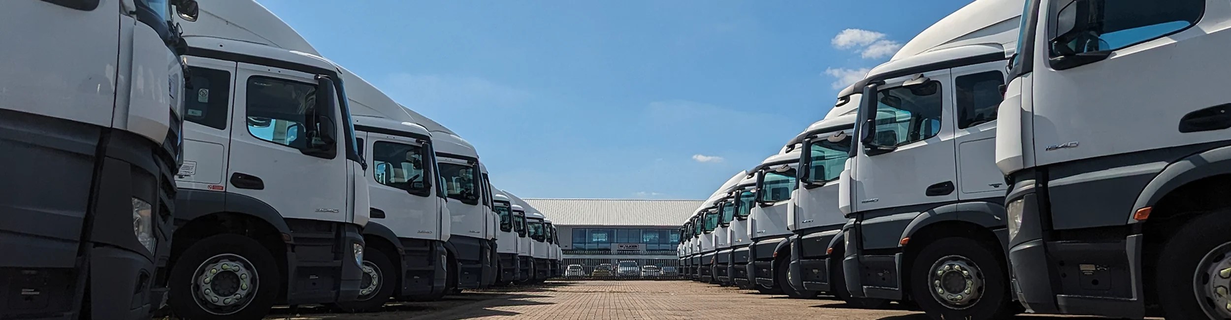 Site Gallery Walker Movements