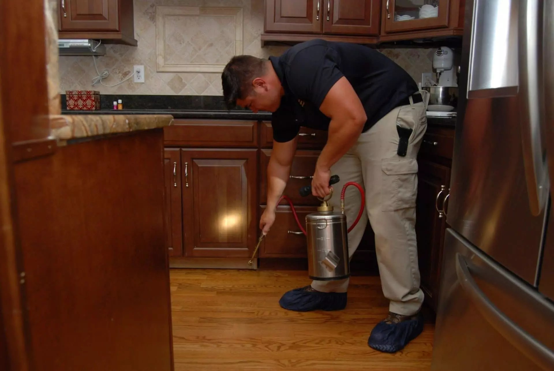 Pest Control For Fleas Greenville Spartanburg Anderson Columbia Lexington