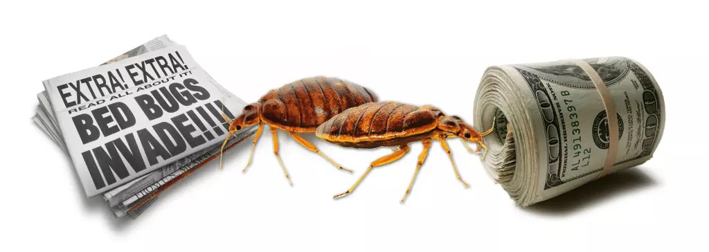 How much does it cost to treat bed bugs? Bed bug treatment pricing info