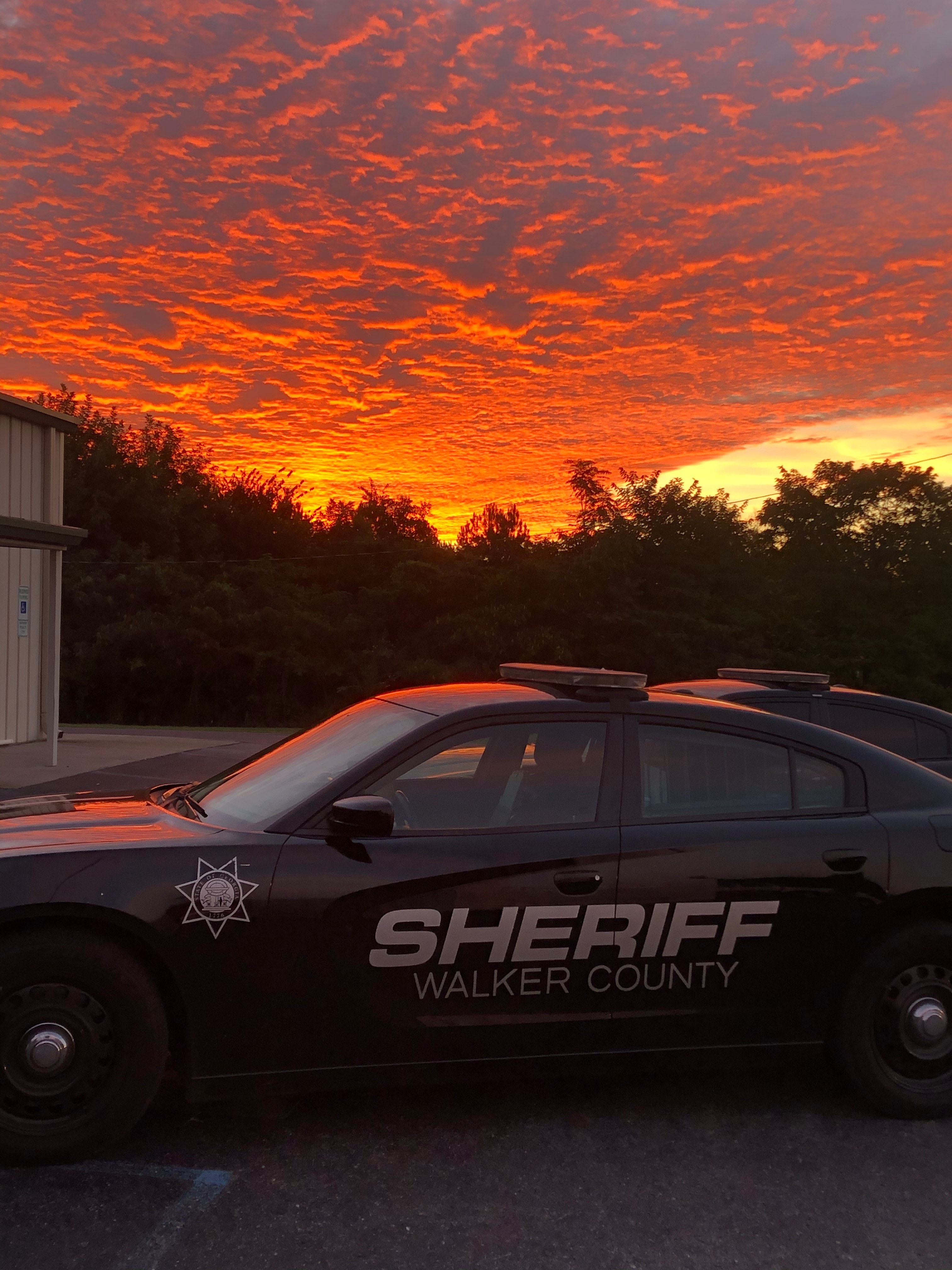 Walker County Sheriff